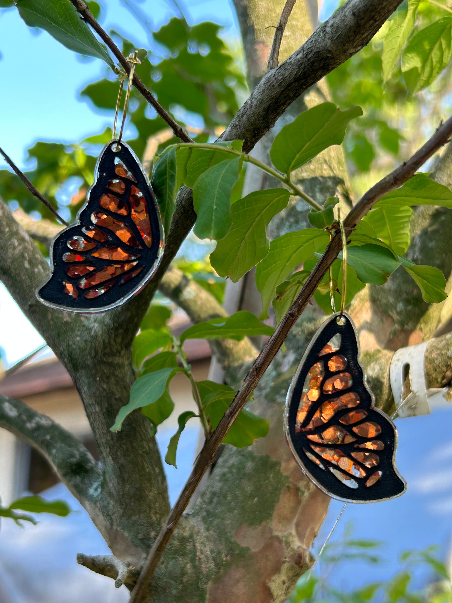 Butterfly wing hoops