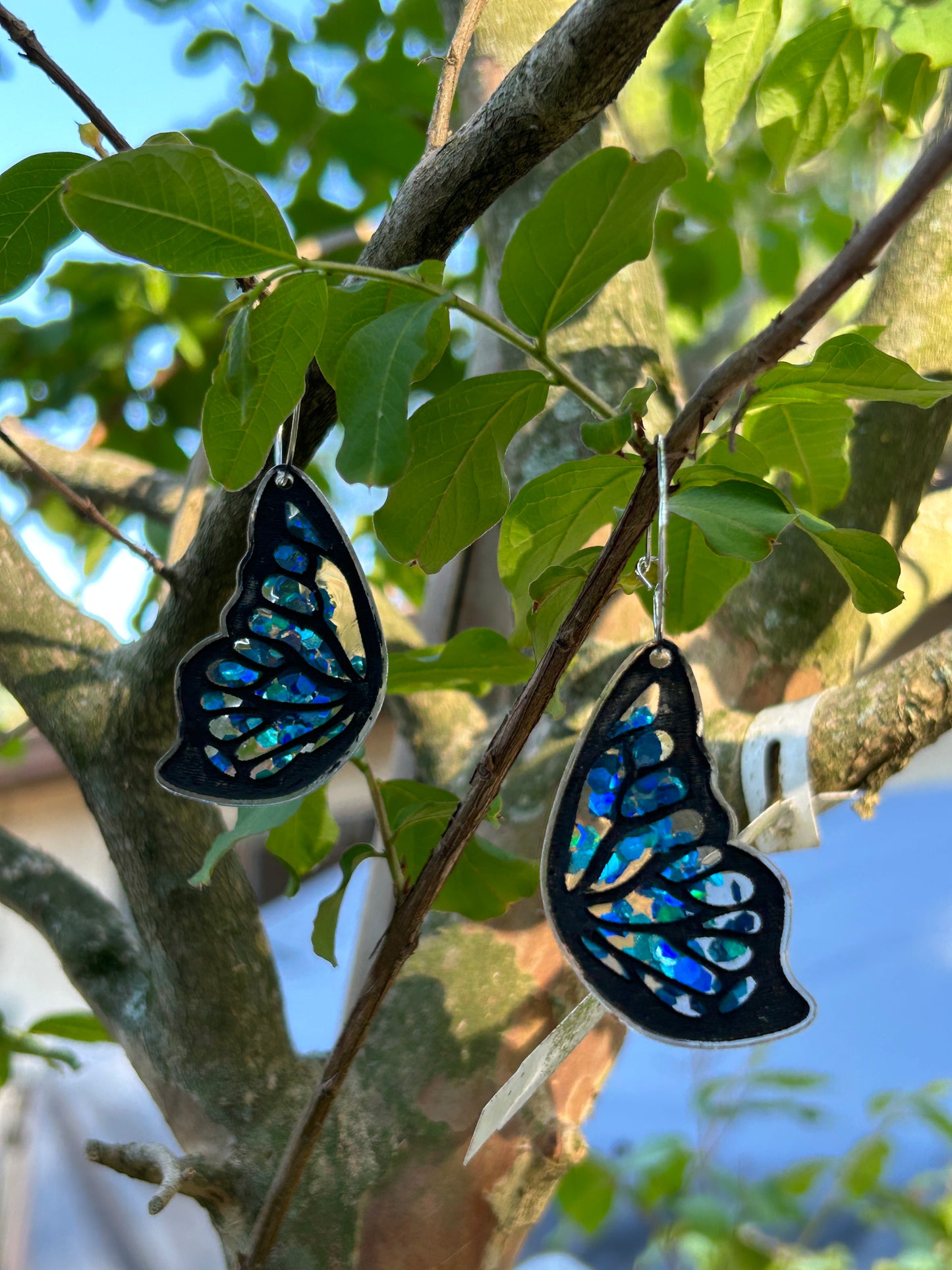 Butterfly wing hoops